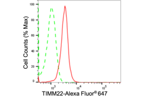 Anti TIMM22 Antibody, clone 24GB2355, Rabbit Monoclonal clone 24GB2355, recombinant rabbit monoclonal, expressed in HEK293 cells