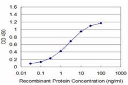 ANTI-MCM3 antibody produced in mouse clone 2A11, purified immunoglobulin, buffered aqueous solution