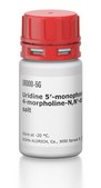 Uridine 5′-monophosphomorpholidate 4-morpholine-N,N′-dicyclohexylcarboxamidine salt