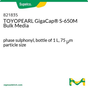 TOYOPEARL GigaCap&#174; S-650M Bulk Media phase sulphonyl, bottle of 1&#160;L, 75&#160;&#956;m particle size