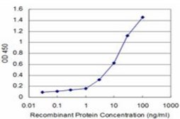 Monoclonal Anti-IF antibody produced in mouse clone 1B3, purified immunoglobulin, buffered aqueous solution