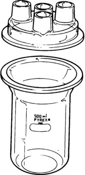 Pyrex&#174; resin reaction kettles capacity 500&#160;mL