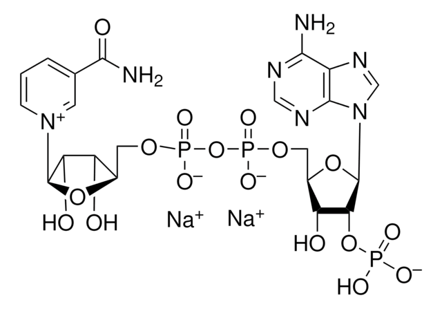 NADP，二钠盐 A coenzyme that is widely distributed in living matter. Participates in oxidation-reduction reactions.