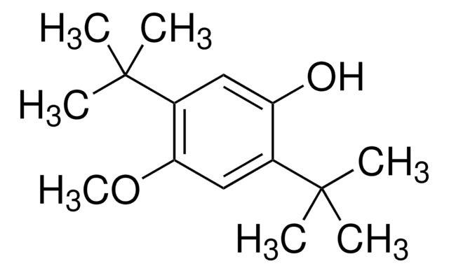 2,5-二叔丁基-4-甲氧基苯酚 97%