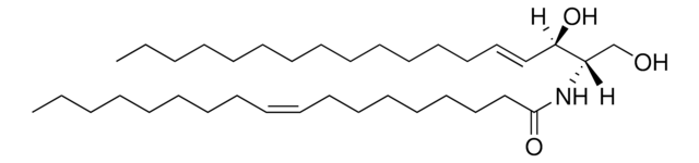 C18:1 Ceramide (d18:1/18:1(9Z)) Avanti Research&#8482; - A Croda Brand 860519C