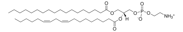 蛋PE Avanti Polar Lipids 840021P