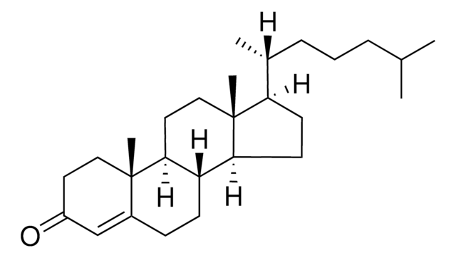 胆甾烯酮 Avanti Polar Lipids