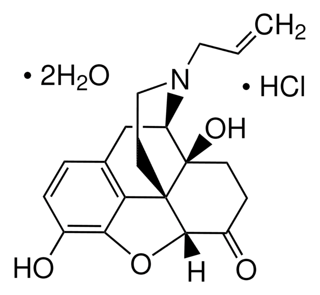 峰鉴别用纳洛酮 European Pharmacopoeia (EP) Reference Standard