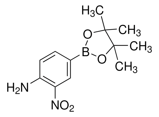 3-硝基4-氨基苯硼酸频哪醇酯 97%