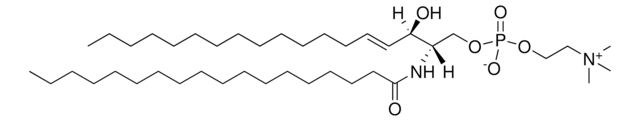 18:0 SM (d18:1/18:0) Avanti Polar Lipids 860586P, powder