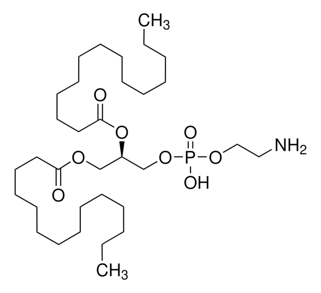 1,2-Dimyristoyl-sn-glycero-3-phosphoethanolamine synthetic, &#8805;99%