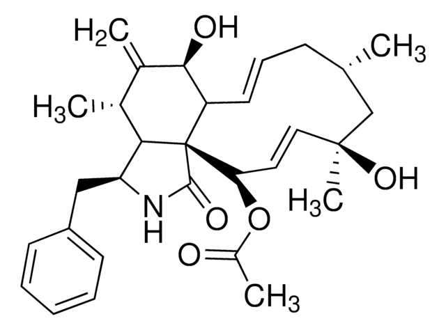 Cytochalasin H from Phomopsis sp.