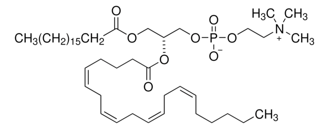 L-&#945;-磷脂酰胆碱 &#946;-花生四烯酰-&#947;-硬脂酰 溶液 10&#160;mg/mL in chloroform