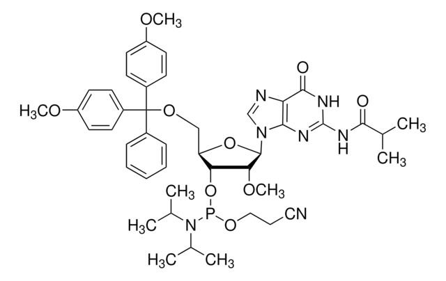 DMT-2&#8242;O-Methyl-rG(ib) Phosphoramidite configured for MerMade