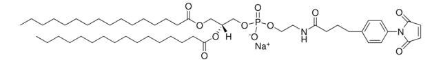 16:0 MPB PE Avanti Polar Lipids 870013P, powder