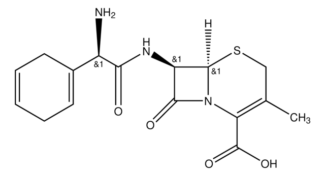 峰鉴别用头孢拉定 European Pharmacopoeia (EP) Reference Standard