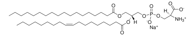 L-&#945;-磷脂酰丝氨酸 Avanti Research&#8482; - A Croda Brand