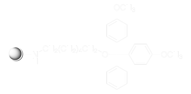 氨基取代的寡核苷酸 pore size 500&#160;Å, 30-40 &#956;mol/g