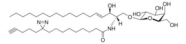 pacFA GalCer Avanti Polar Lipids 900406P, powder