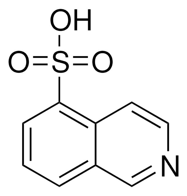 5-异喹啉磺酸 95%