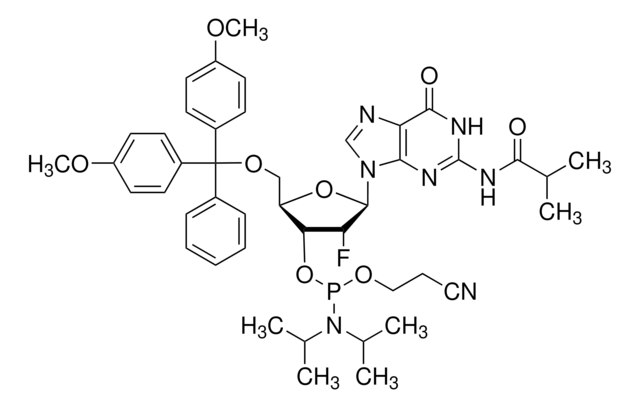 DMT-2&#8242;Fluoro-dG(ib) Phosphoramidite configured for MerMade