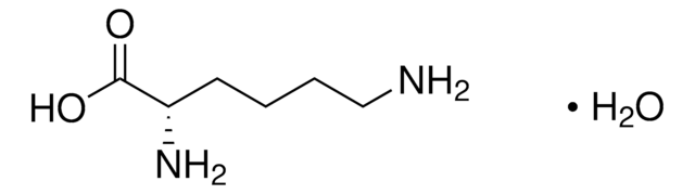 L-赖氨酸 一水合物 BioReagent, suitable for cell culture, from non-animal source