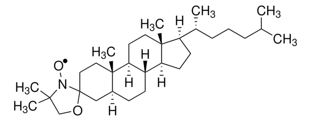 3&#946;-DOXYL-5&#945;-胆甾烷&#65292;自由基