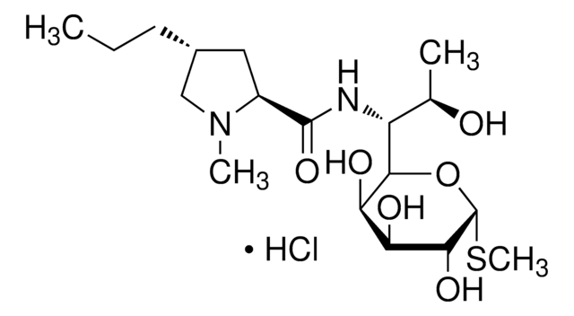 林可霉素 盐酸盐 &#8805;90% (TLC)