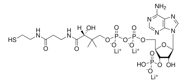 Coenzyme A (Li salt) Avanti Research&#8482; - A Croda Brand 870701P, powder