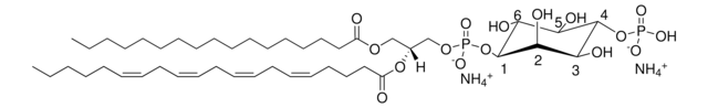 17:0-20:4 PI(4)P Avanti Polar Lipids LM1901, powder