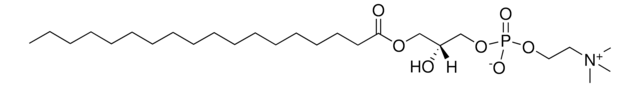 18:0 Lyso PC Avanti Polar Lipids