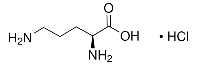 L -鸟氨酸 单盐酸盐 analytical standard