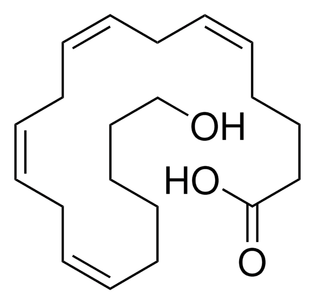 20-羟基-（5Z,8Z,11Z,14Z）-二十碳四烯酸 ~100&#160;&#956;g/mL in ethanol, &#8805;90% (HPLC)