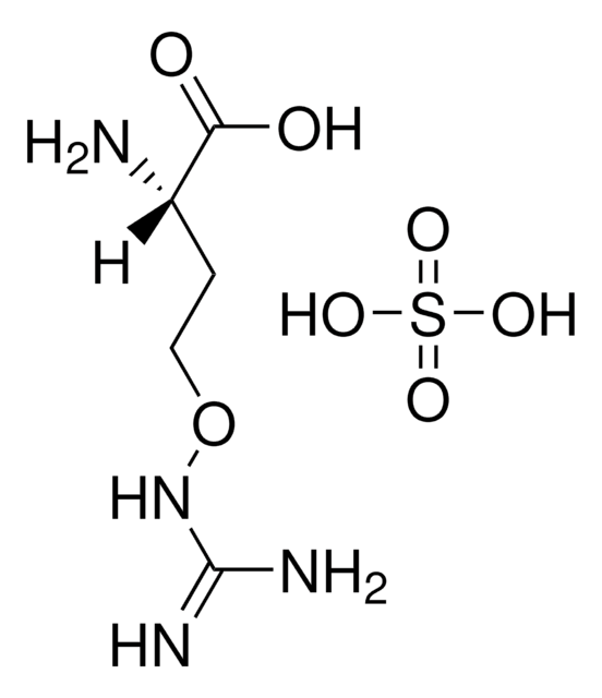 L-刀豆氨酸 硫酸盐 &#8805;99% (TLC), powder