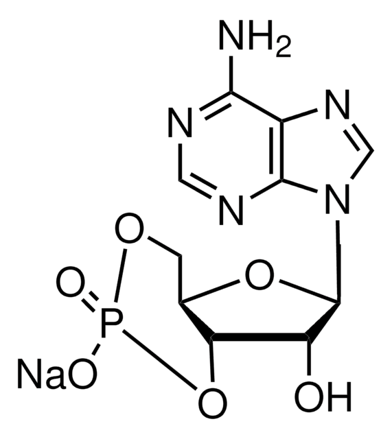 腺苷 3',5'-环单磷酸 钠盐 一水合物 &#8805;98.0% (HPLC), powder