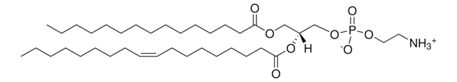 15:0-18:1 PE Avanti Polar Lipids