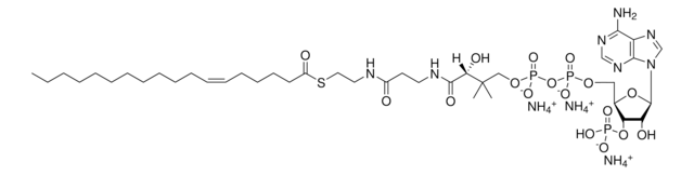 18:1 (n12) Coenzyme A Avanti Polar Lipids 870731P, powder