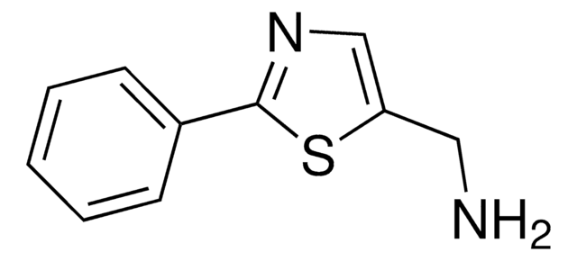 (2-Phenyl-1,3-thiazol-5-yl)methanamine