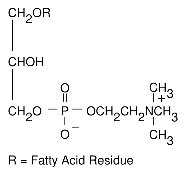 L-&#945;-溶血磷脂酰胆碱 来源于鸡蛋黄 Pharmaceutical Secondary Standard; Certified Reference Material