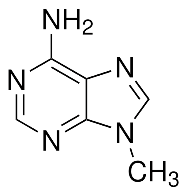 9-甲基腺嘌呤 97%