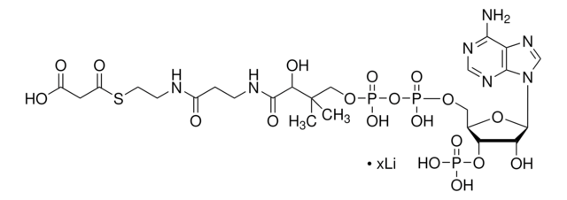 丙二酰辅酶 A 锂盐 97% (CP)