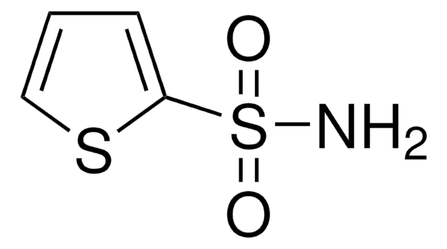 2-噻吩磺酰胺 96%