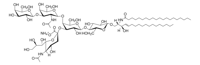 C20:0 GM1 (synthetic) Avanti Polar Lipids