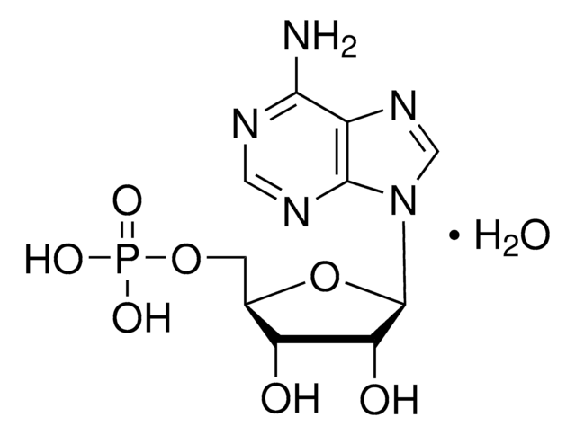 腺苷-5&apos;-单磷酸 一水合物 from yeast, &#8805;97%