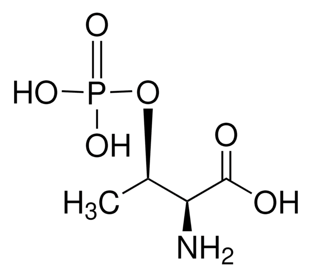 O-磷酸- L -苏氨酸