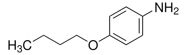 4-丁氧基苯胺 97%