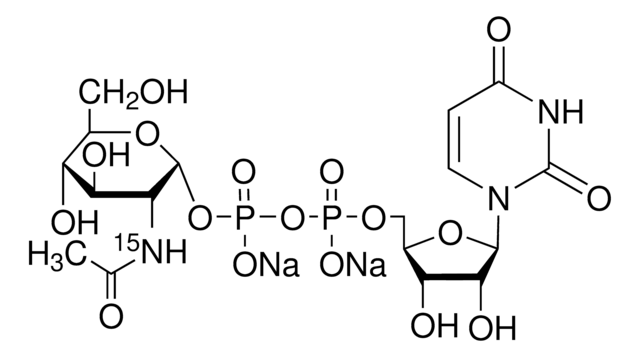 Uridine diphospho-a-N-acetyl-D-glucosamine-15N, disodium salt &#8805;98 atom % 15N, 95% (CP)