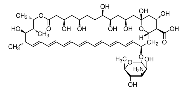 Amphotericin B from Streptomyces sp. BioReagent, suitable for cell culture, ~80% (HPLC)