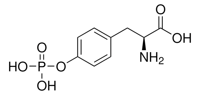 O-磷酸- L -酪氨酸