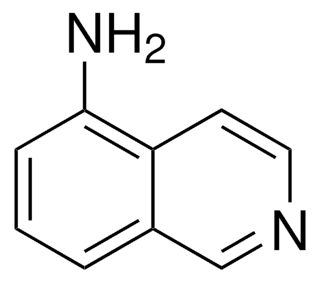 5-Aminoisoquinoline 99%